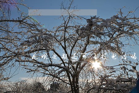 花呗逾期还可以打电话吗 花呗逾期还可以打电话吗