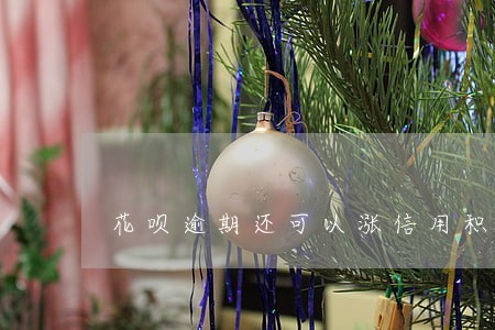 花呗逾期还可以涨信用积分吗 花呗逾期还可以涨信用积分吗