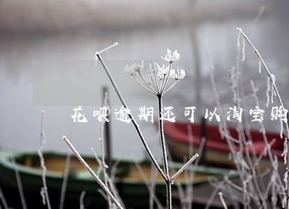 花呗逾期还可以淘宝购物吗 花呗逾期还可以淘宝购物吗