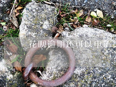 花呗逾期还可以申请贷款么 花呗逾期还可以申请贷款么