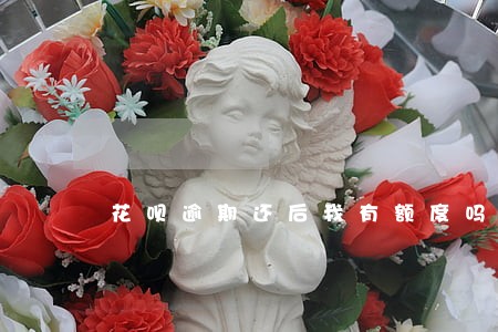 花呗逾期还后我有额度吗 花呗逾期还后我有额度吗