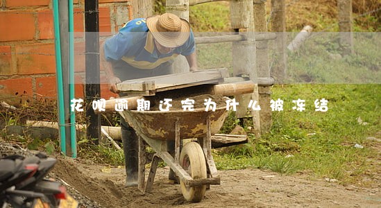 花呗逾期还完为什么被冻结 花呗逾期还完为什么被冻结