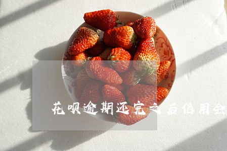花呗逾期还完之后信用会恢复吗 花呗逾期还完之后信用会恢复吗