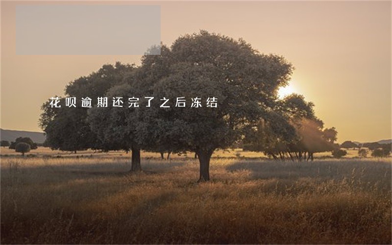 花呗逾期还完了之后冻结 花呗逾期还完了之后冻结