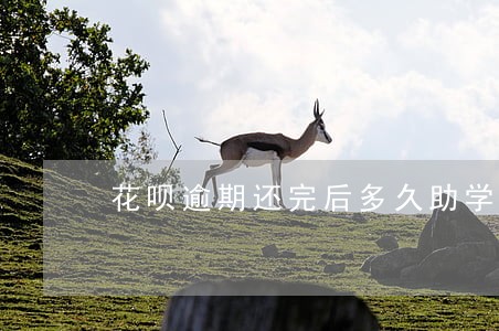 花呗逾期还完后多久助学贷款 花呗逾期还完后多久助学贷款