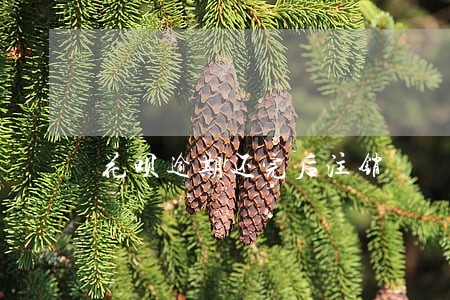 花呗逾期还完后注销