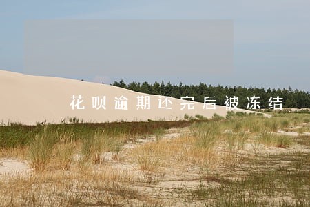 花呗逾期还完后被冻结 花呗逾期还完后被冻结