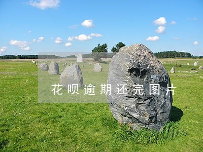 花呗逾期还完图片