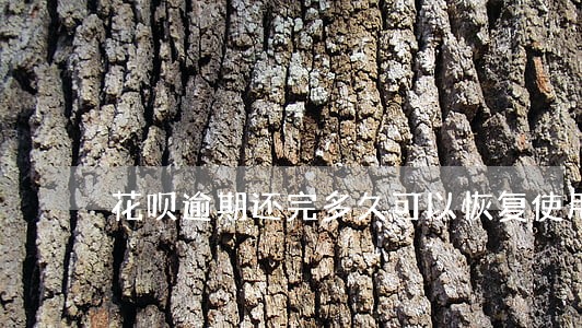 花呗逾期还完多久可以恢复使用 花呗逾期还完多久可以恢复使用