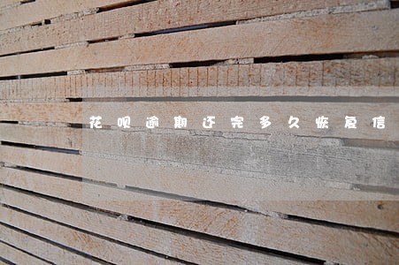 花呗逾期还完多久恢复信誉