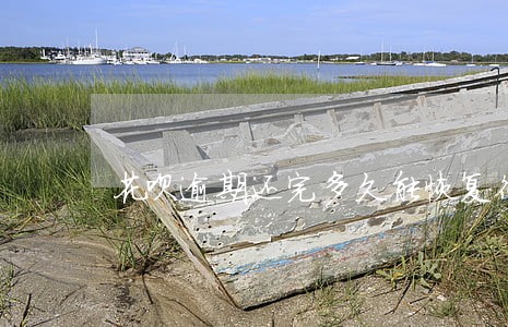 花呗逾期还完多久能恢复征信 花呗逾期还完多久能恢复征信