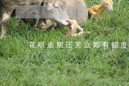 花呗逾期还完立即有额度 花呗逾期还完立即有额度
