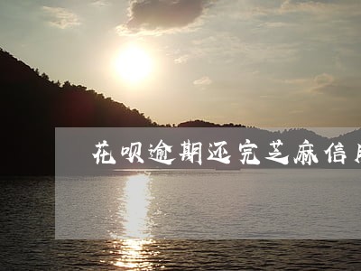 花呗逾期还完芝麻信用可以加多少 花呗逾期还完芝麻信用可以加多少