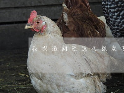 花呗逾期还想用额度怎么办 花呗逾期还想用额度怎么办