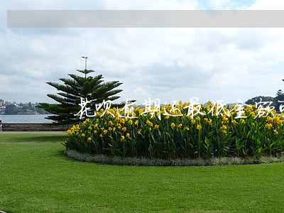 花呗逾期还最低金额可以吗 花呗逾期还最低金额可以吗