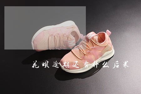 花呗逾期还有什么后果
