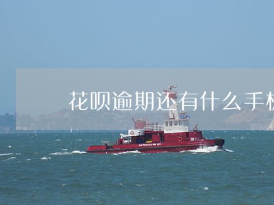 花呗逾期还有什么手机贷款能用 花呗逾期还有什么手机贷款能用