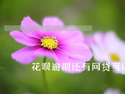 花呗逾期还有网贷可以做吗 花呗逾期还有网贷可以做吗