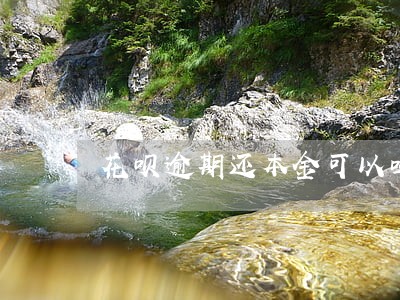 花呗逾期还本金可以吗 花呗逾期还本金可以吗