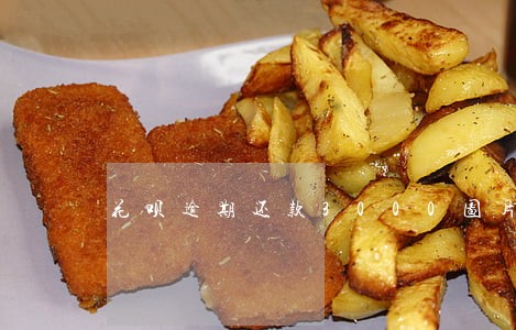 花呗逾期还款3000图片 花呗逾期还款3000图片