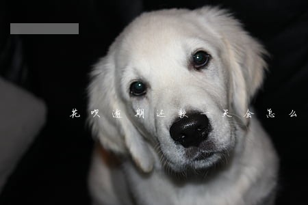 花呗逾期还款一天会怎么样 花呗逾期还款一天会怎么样