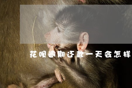 花呗逾期还款一天会怎样 花呗逾期还款一天会怎样