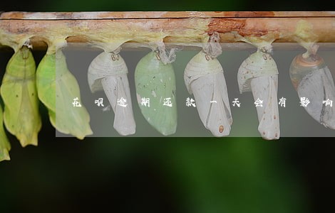 花呗逾期还款一天会有影响吗 花呗逾期还款一天会有影响吗