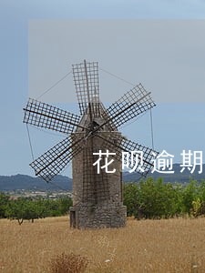花呗逾期还款一年了芝麻分不涨 花呗逾期还款一年了芝麻分不涨