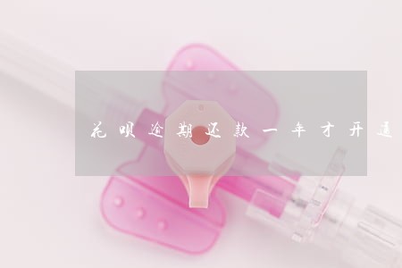 花呗逾期还款一年才开通 花呗逾期还款一年才开通