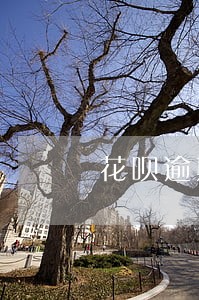 花呗逾期还款下降额度么 花呗逾期还款下降额度么