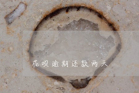 花呗逾期还款两天 花呗逾期还款两天