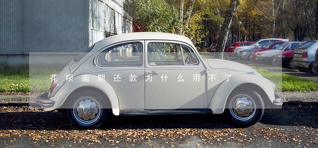 花呗逾期还款为什么用不了 花呗逾期还款为什么用不了