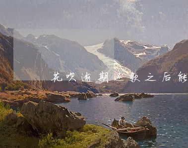 花呗逾期还款之后能分期手机吗