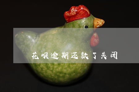 花呗逾期还款了关闭 花呗逾期还款了关闭