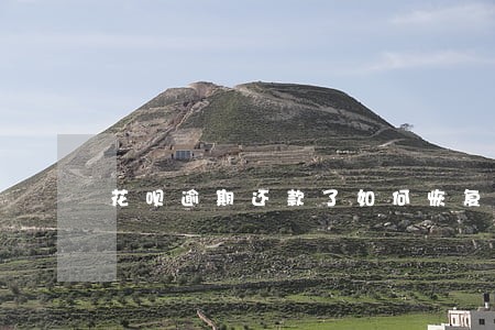 花呗逾期还款了如何恢复花呗 花呗逾期还款了如何恢复花呗