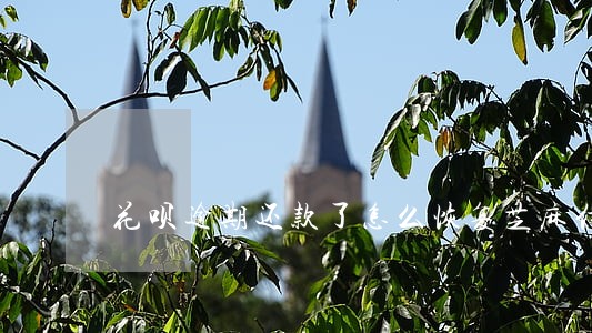 花呗逾期还款了怎么恢复芝麻信用 花呗逾期还款了怎么恢复芝麻信用