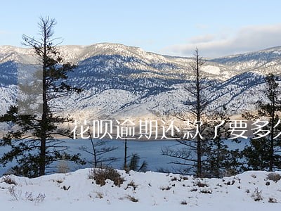 花呗逾期还款了要多久可以恢复 花呗逾期还款了要多久可以恢复