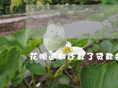 花呗逾期还款了贷款会恢复吗 花呗逾期还款了贷款会恢复吗