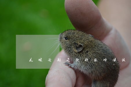 花呗逾期还款什么时候恢复额度 花呗逾期还款什么时候恢复额度
