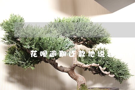 花呗逾期还款他说要报警 花呗逾期还款他说要报警