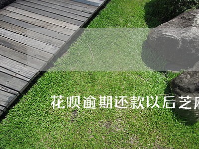 花呗逾期还款以后芝麻分还涨 花呗逾期还款以后芝麻分还涨