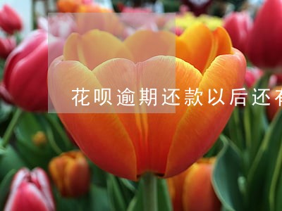 花呗逾期还款以后还有额度吗 花呗逾期还款以后还有额度吗