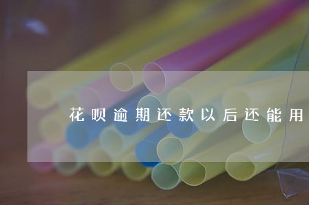 花呗逾期还款以后还能用备用金吗 花呗逾期还款以后还能用备用金吗