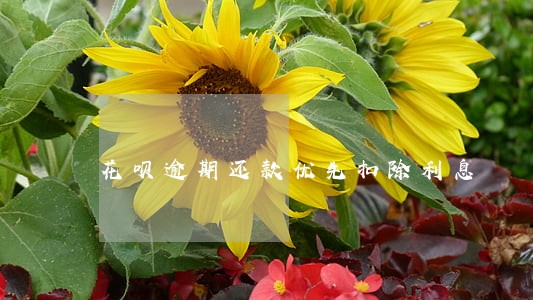花呗逾期还款优先扣除利息 花呗逾期还款优先扣除利息
