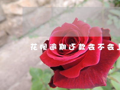 花呗逾期还款会不会上征信 花呗逾期还款会不会上征信
