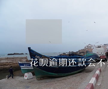 花呗逾期还款会不会变黑户