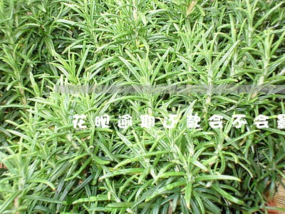 花呗逾期还款会不会影响房贷 花呗逾期还款会不会影响房贷