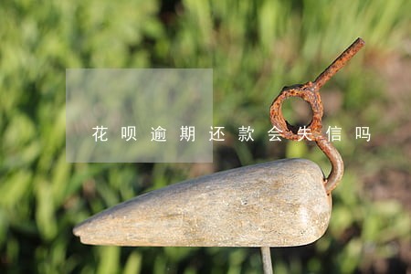 花呗逾期还款会失信吗 花呗逾期还款会失信吗