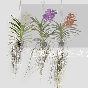 花呗逾期还款会影响信用度