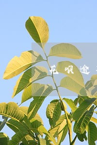 花呗逾期还款会有什么后果 花呗逾期还款会有什么后果